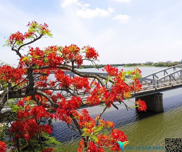 Hue 1 Day Tour From Da Nang